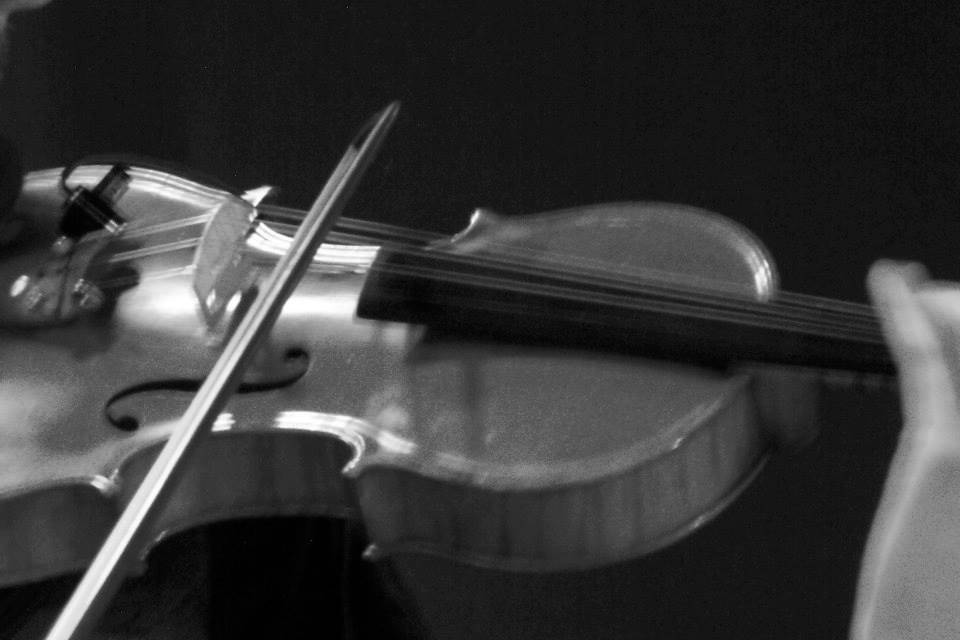 Violino