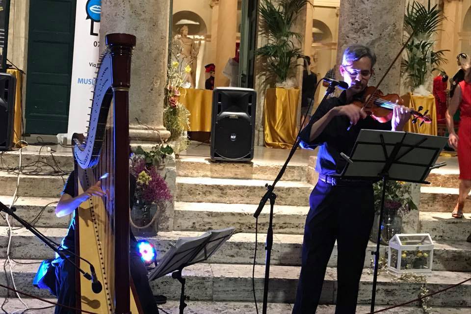 Violino