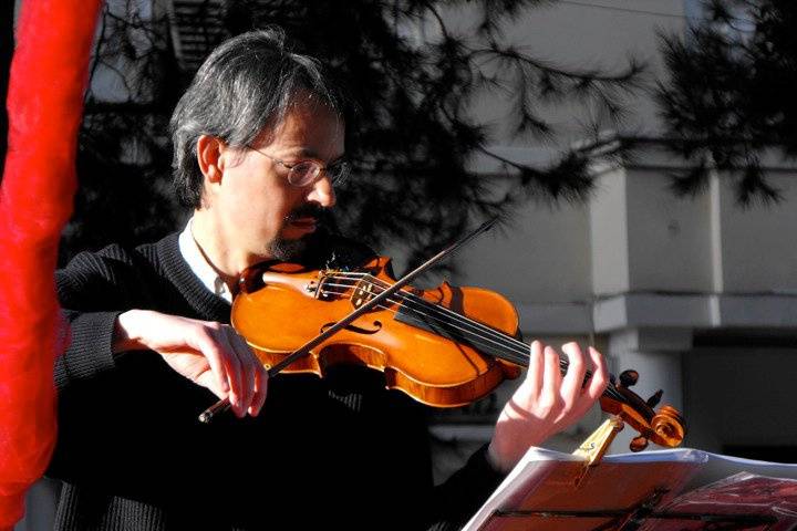 Violino