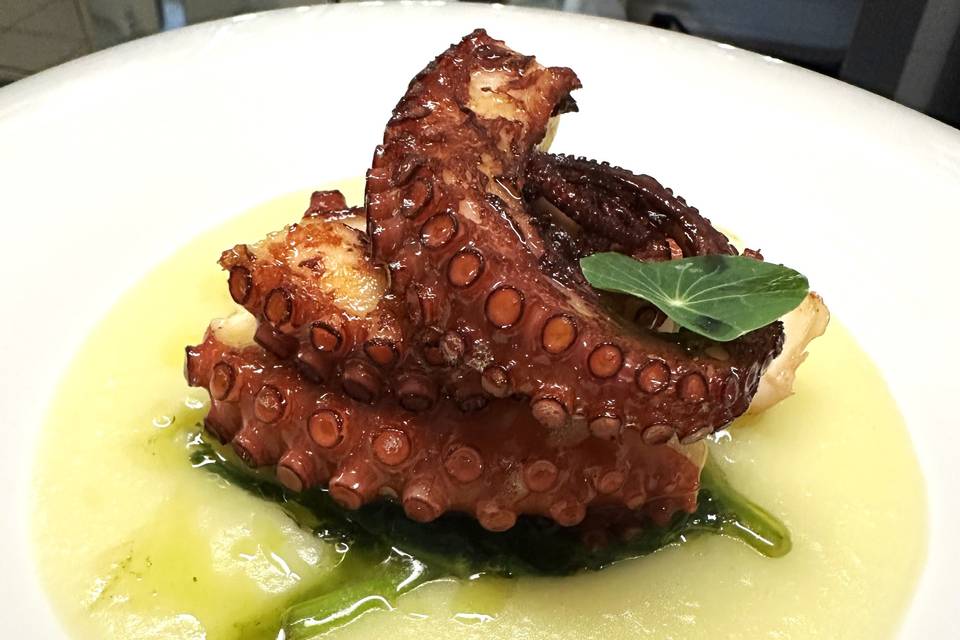 Tentacolo di polpo