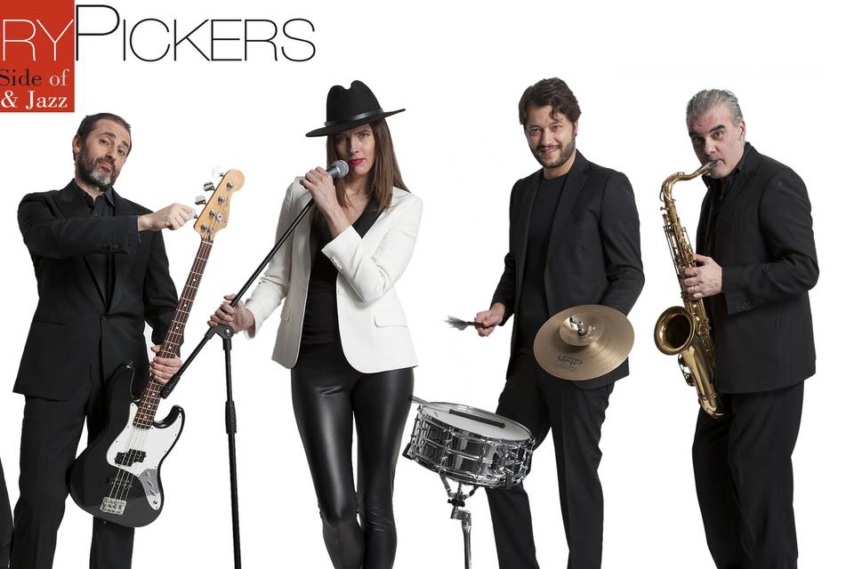 Cherrypickers band