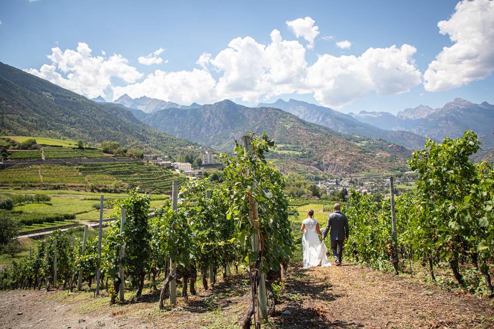 Passeggiata tra i vigneti