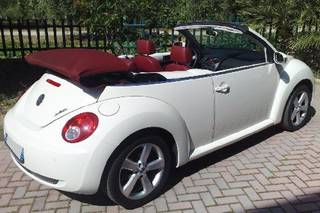 Old Beetle Eventi 3