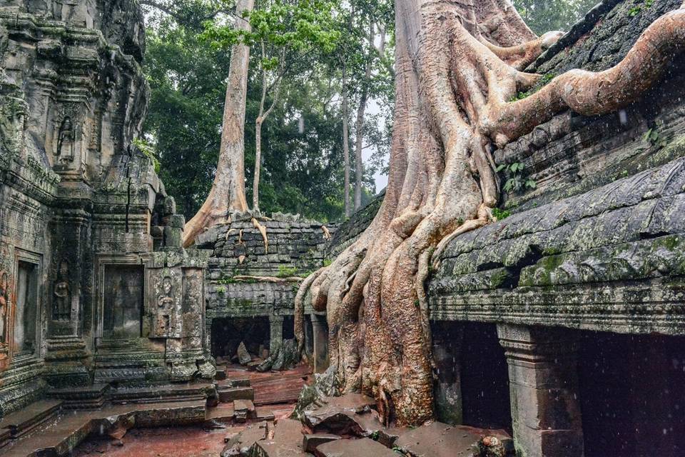 Angkor Cambogia