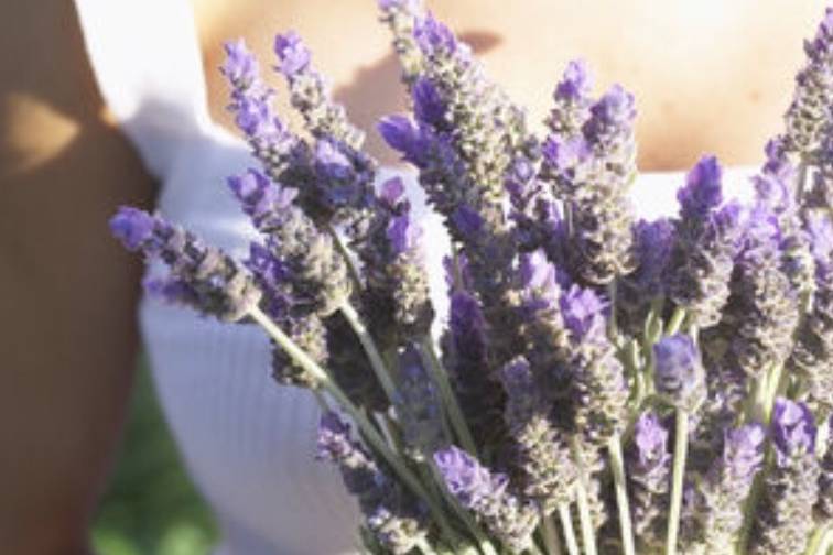 Bouquet lavanda