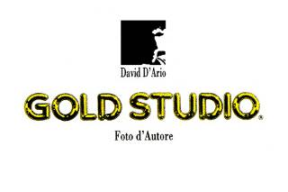 Gold Studio di David D'Ario