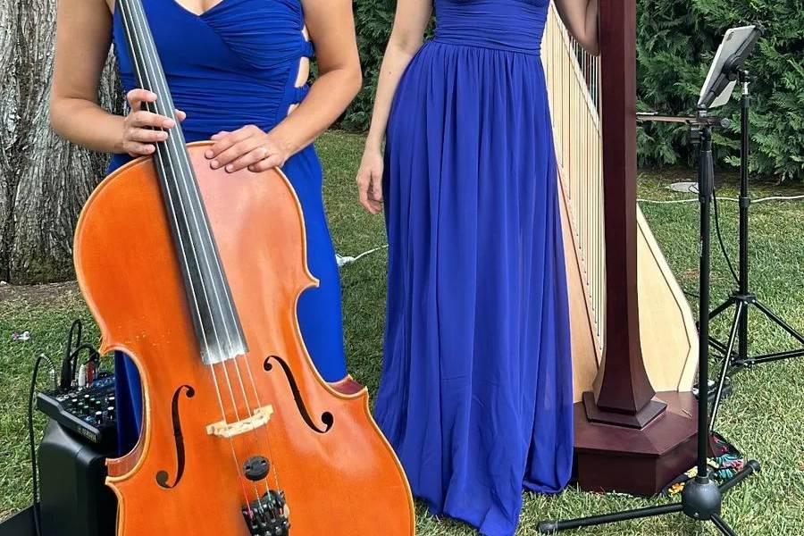 Violoncello e arpa
