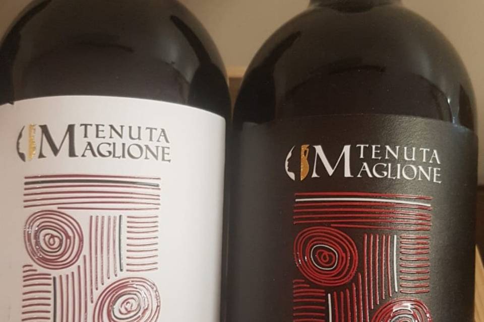 Vini terre del Volturno