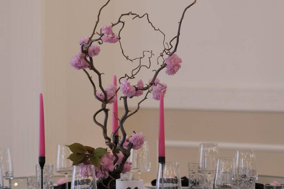 Wedding Day,Cherry Blossom