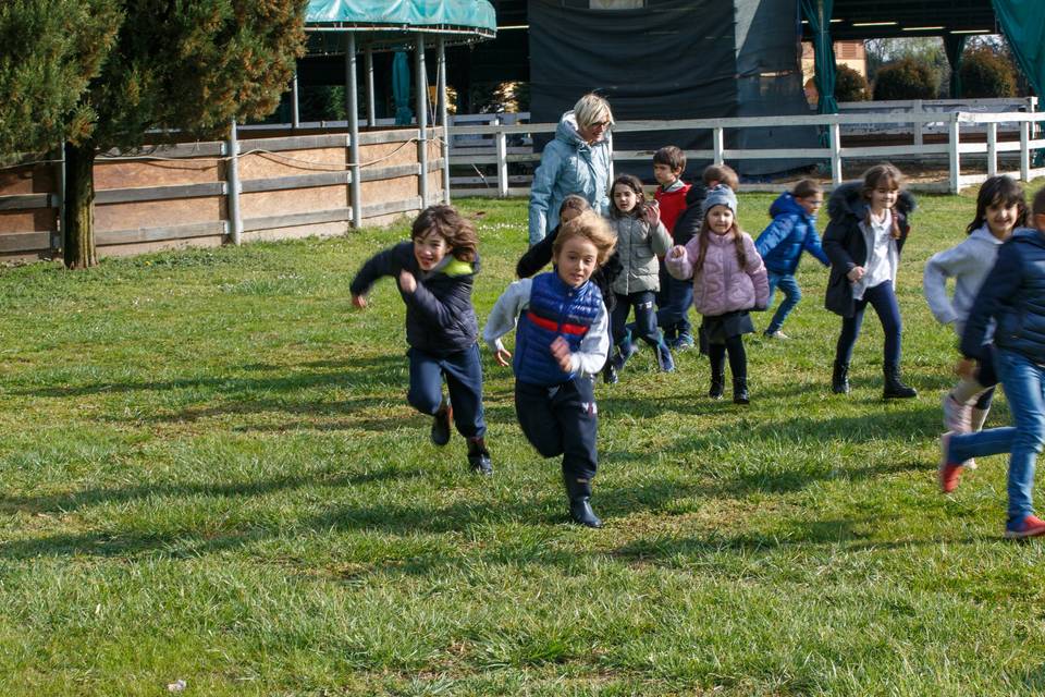 Splash Animazioni divertimento