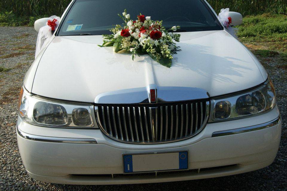 Limousine & Rental Service