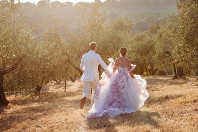 Foto nell'oliveta