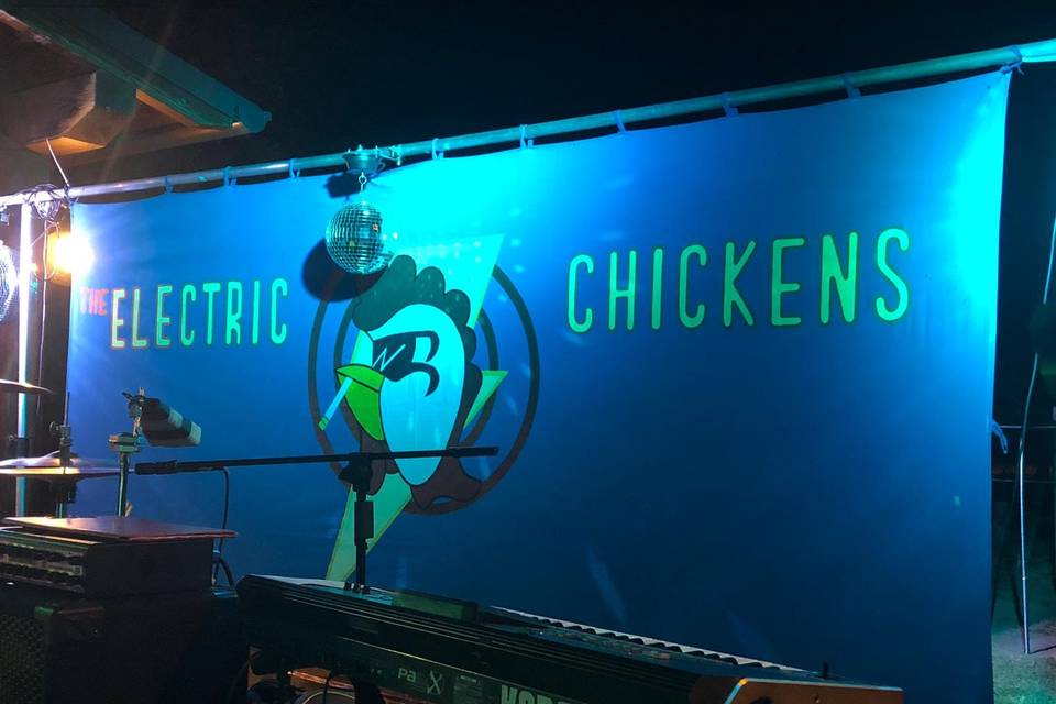 Electric chickens band