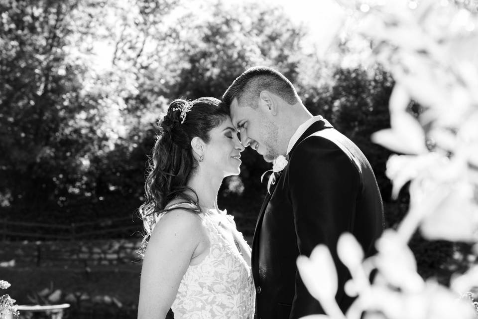 Wedding Storytelling