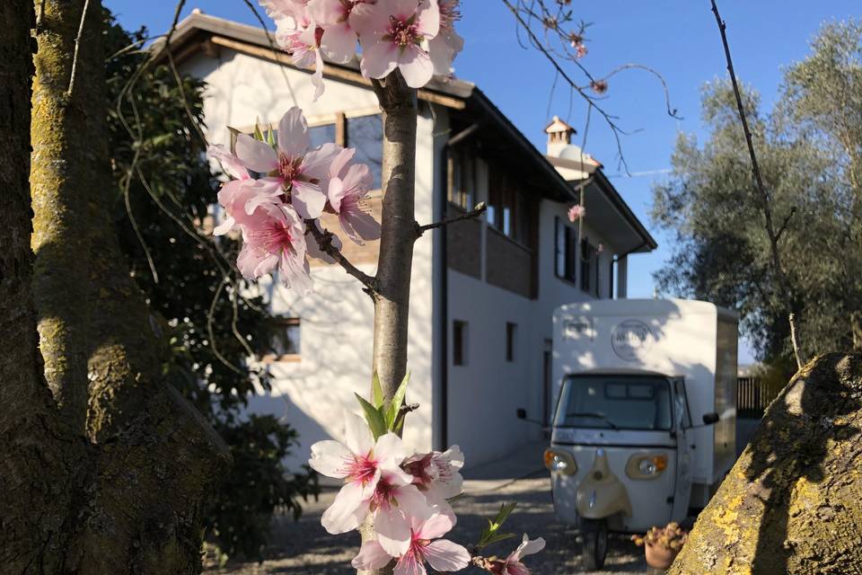 Matrimonio a casa di mimi