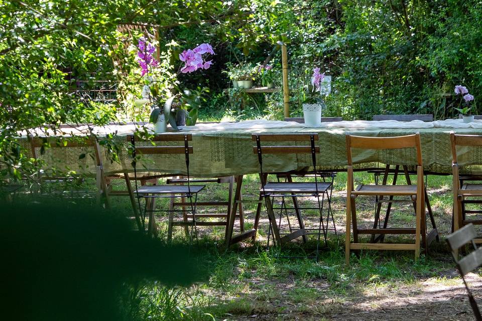 Pranzo e allestimento