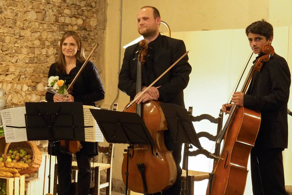 Musica_Matrimonio_Villa