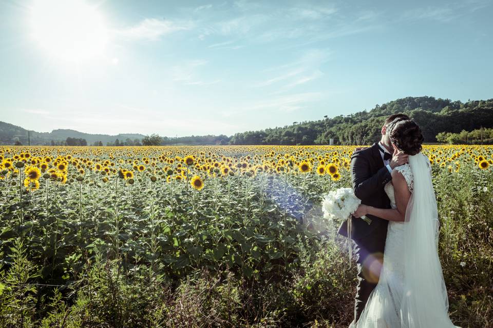 VBWedding Photographer