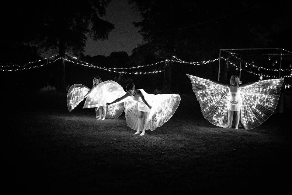 Performance Butterfly