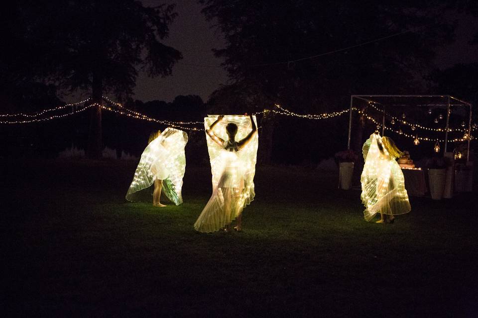 Performance Butterfly
