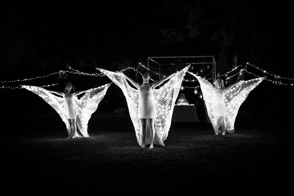 Performance Butterfly