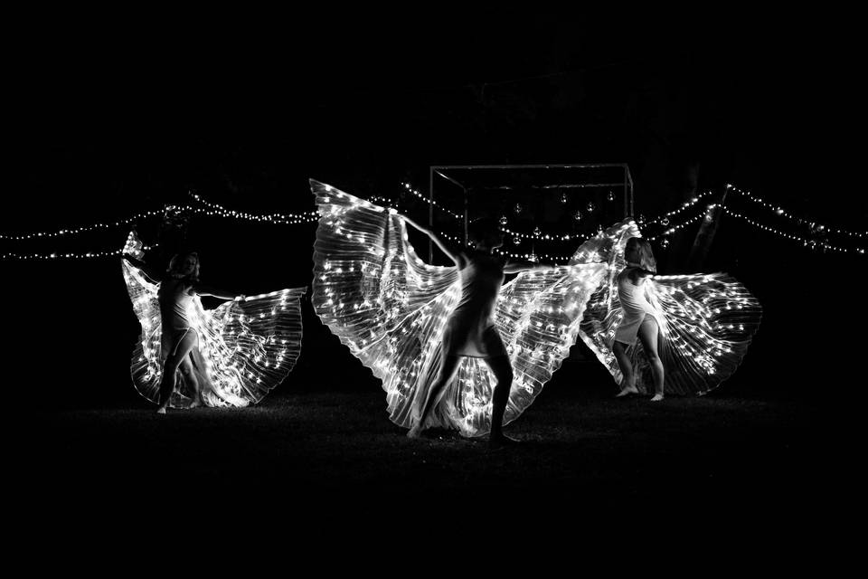 Performance Butterfly
