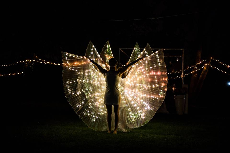 Performance Butterfly