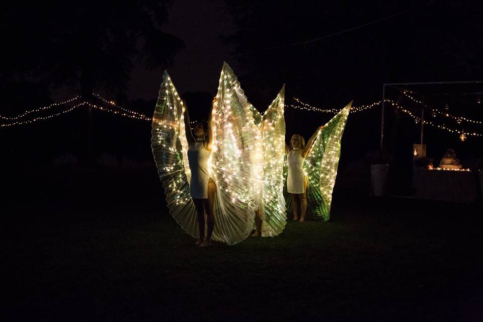 Performance Butterfly