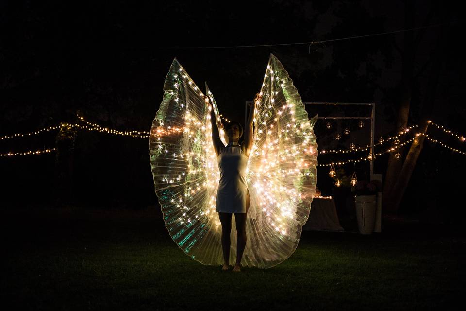 Performance Butterfly