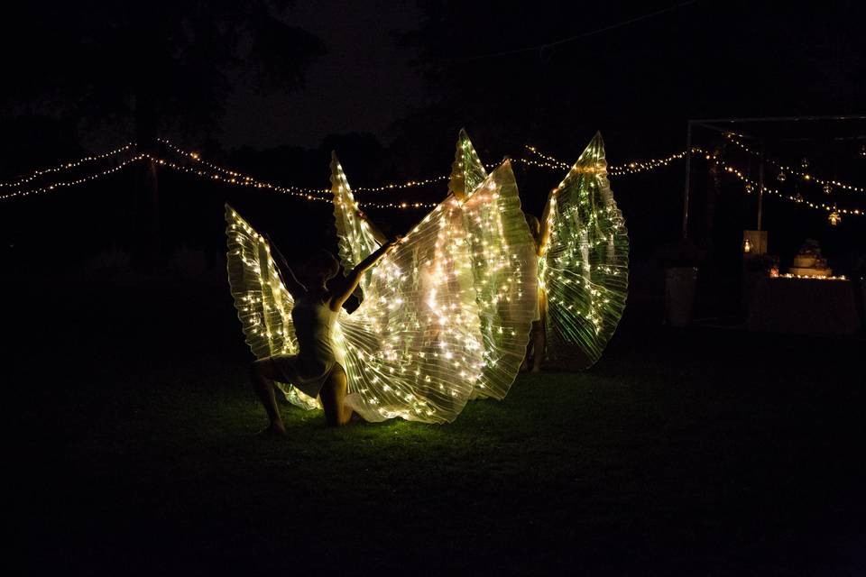 Performance Butterfly