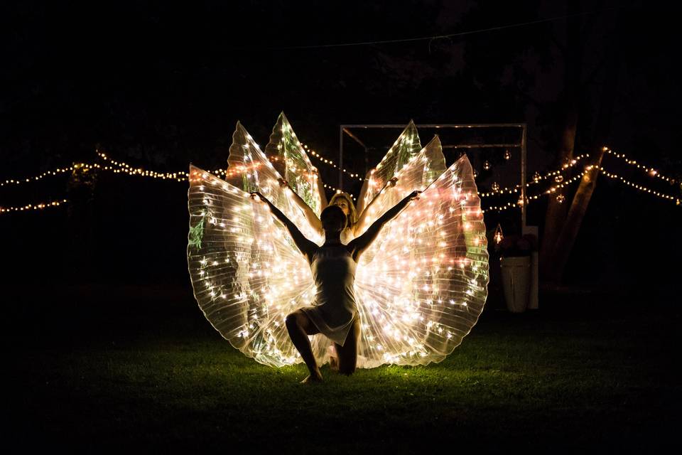 Performance Butterfly