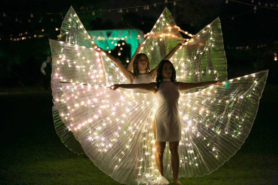 Performance Butterfly