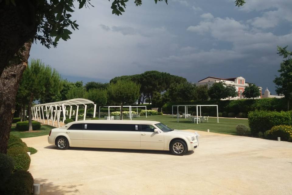 Limousine