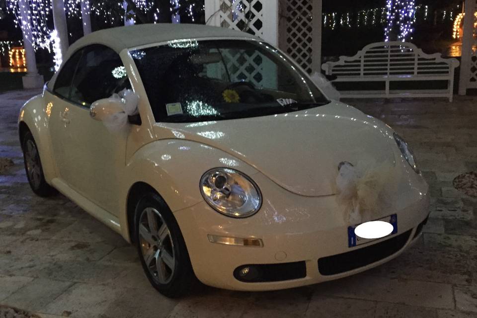 New beetle