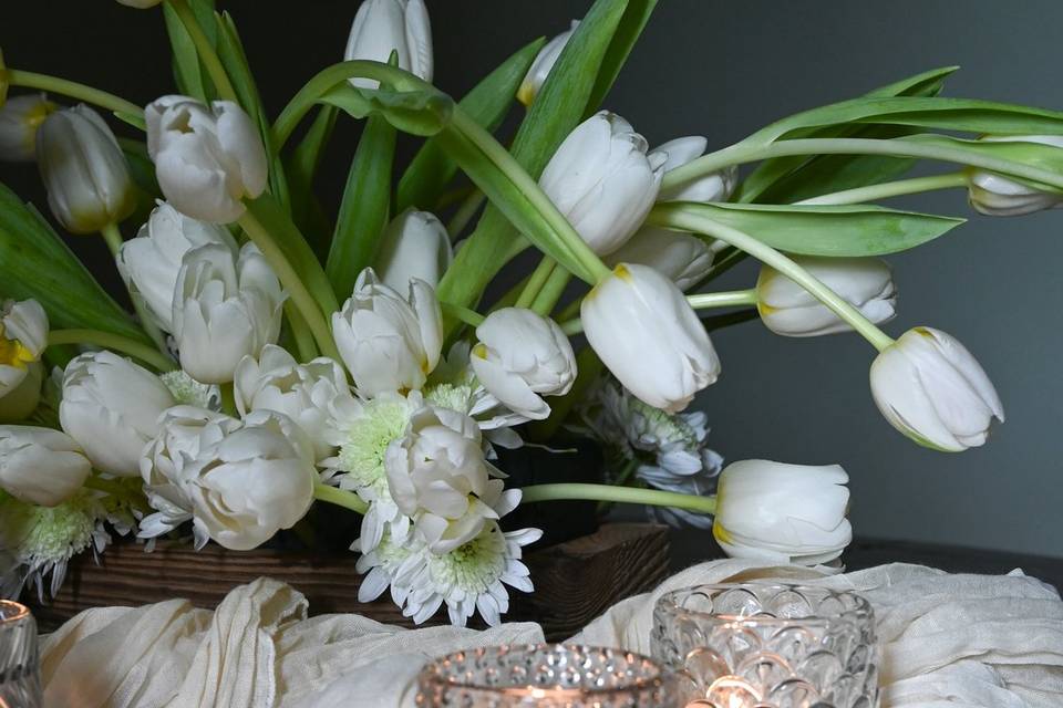 Tulips