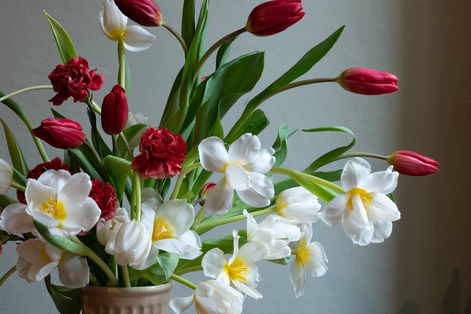 Total tulips