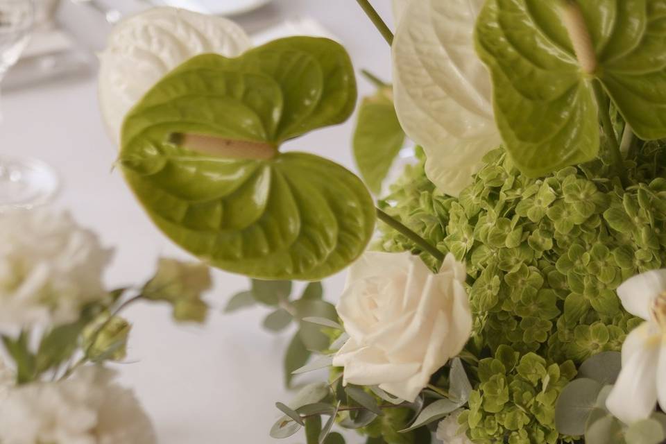 Table reception