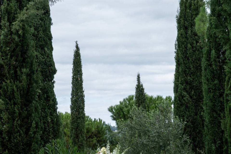 Ceremony area