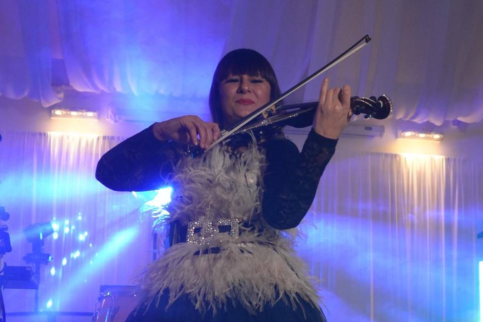 Violinista