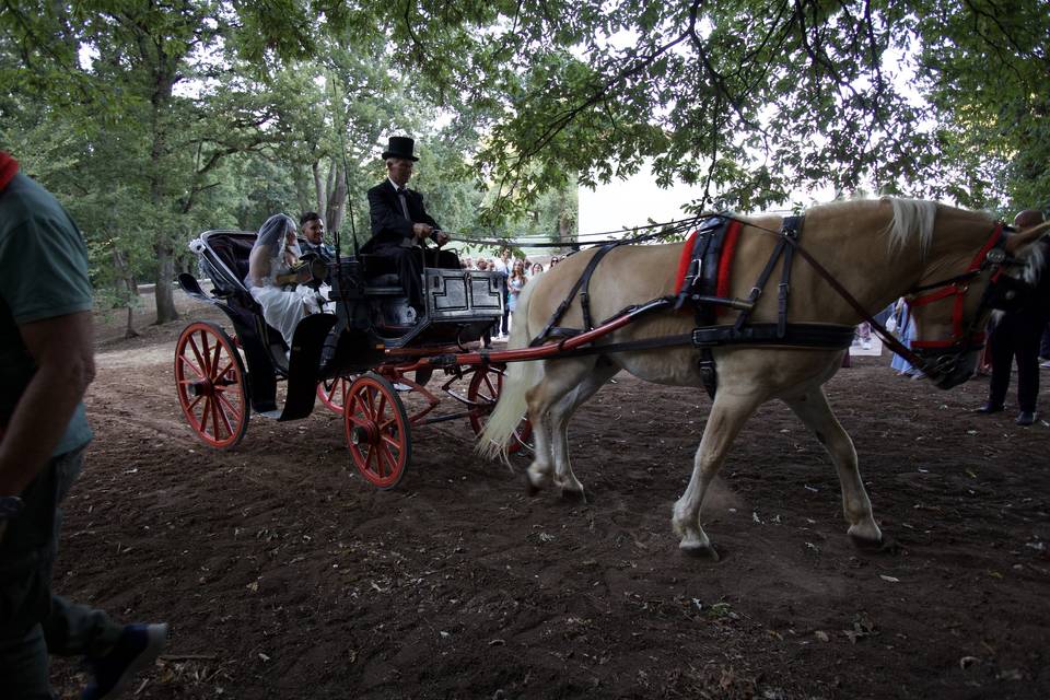Roberto e Mariagrazia