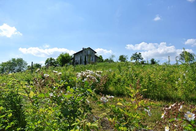 In primavera