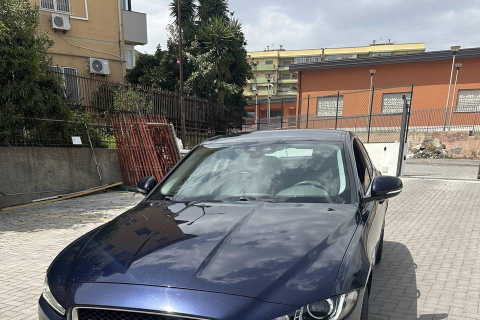 Frontale