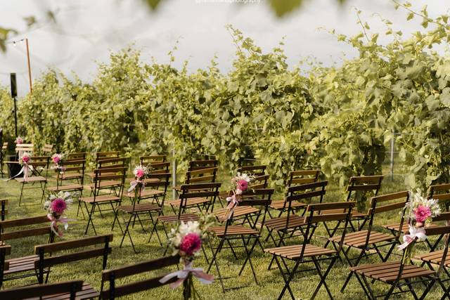 Matrimonio in vigna