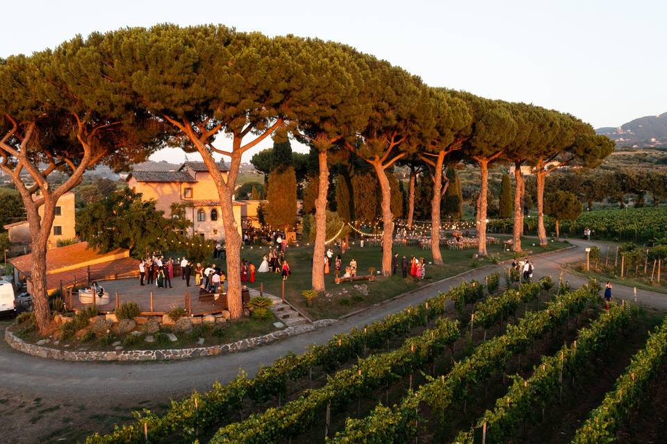 Vista dall'alto giardino
