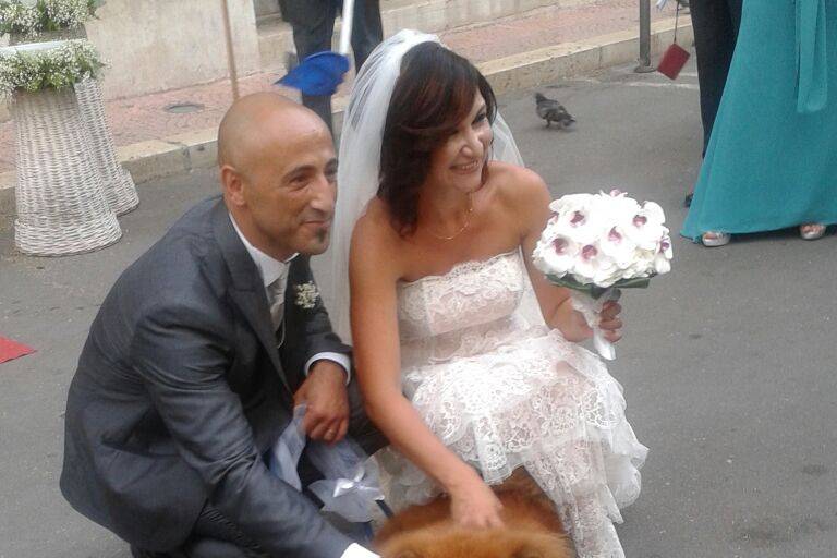 Wedding Dog Apulia