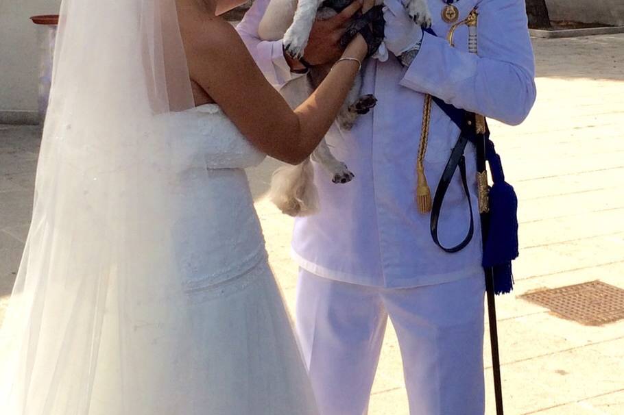 Wedding Dog Apulia