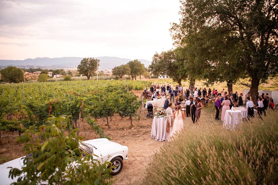 I Matrimoni di Caterta