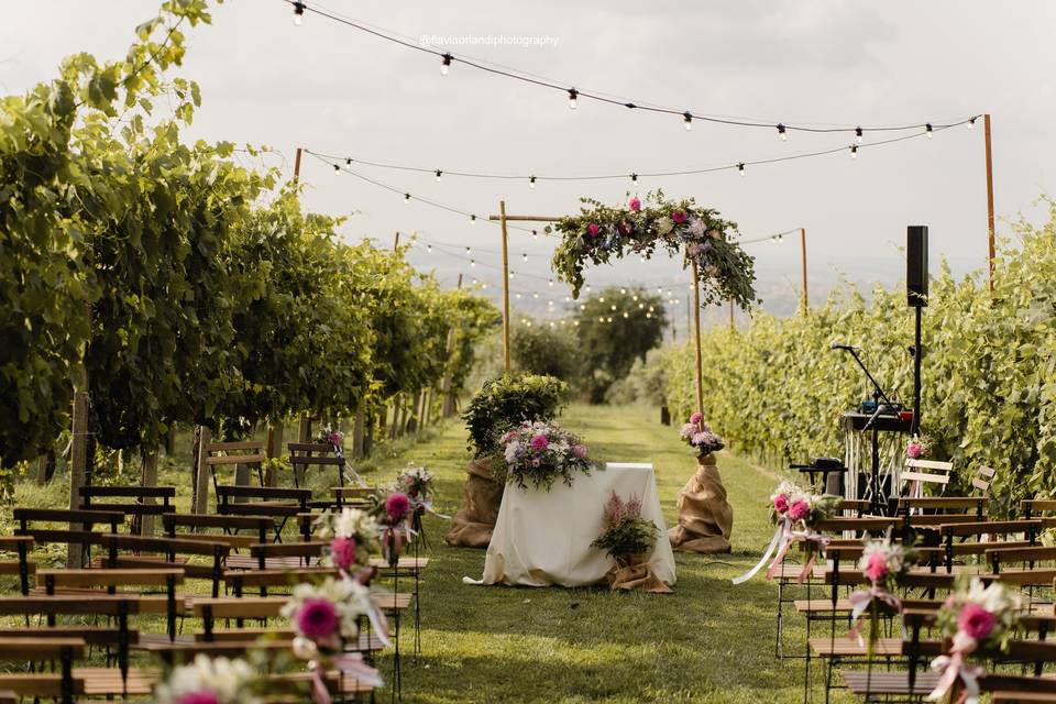 Matrimonio in vigna