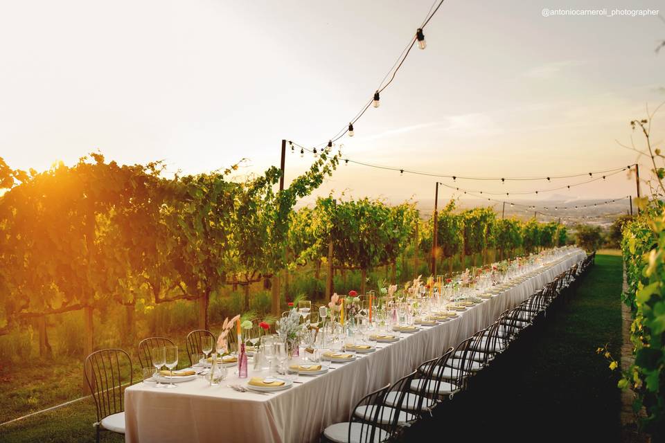 Cena in vigna