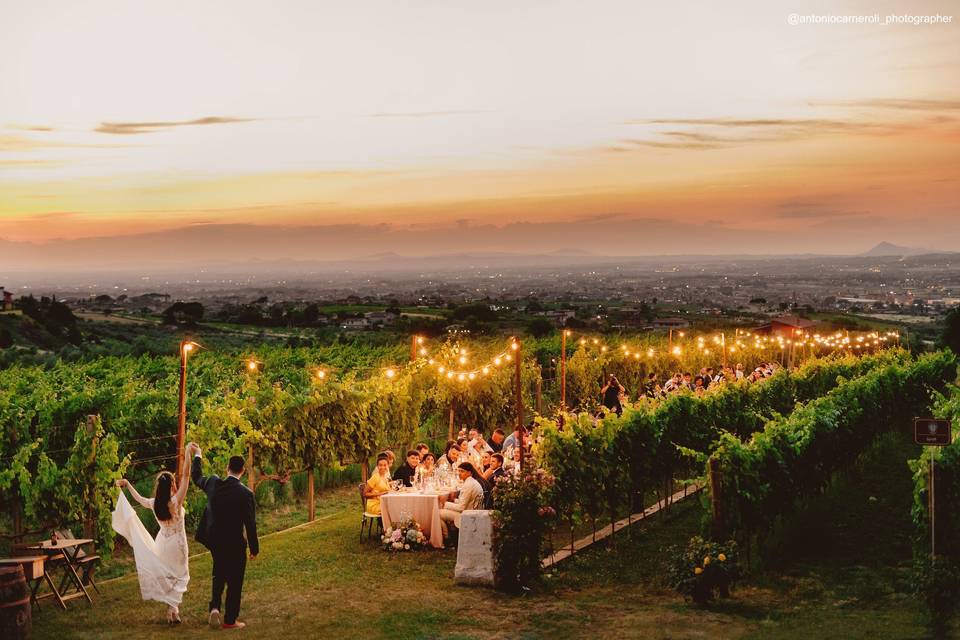 Cena in vigna